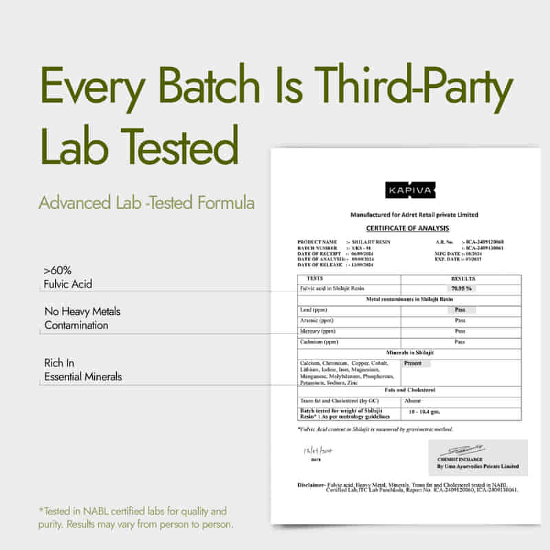 Himalayan Shilajit Resin