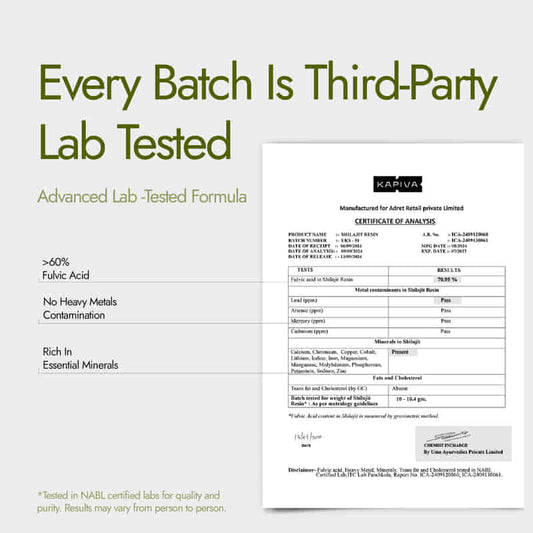 Himalayan Shilajit Resin